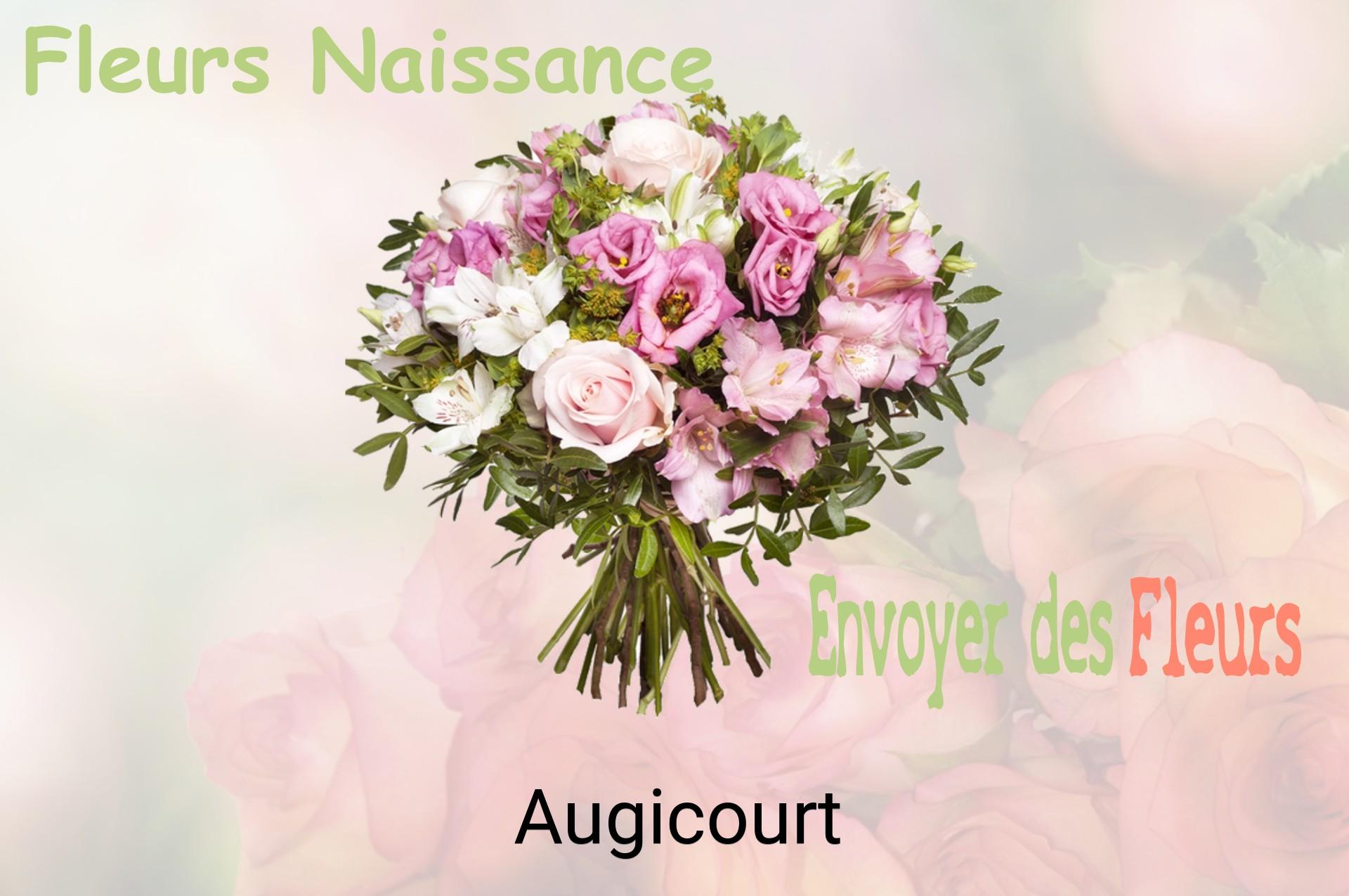Bouquet de fleurs de naissance livré à Augicourt